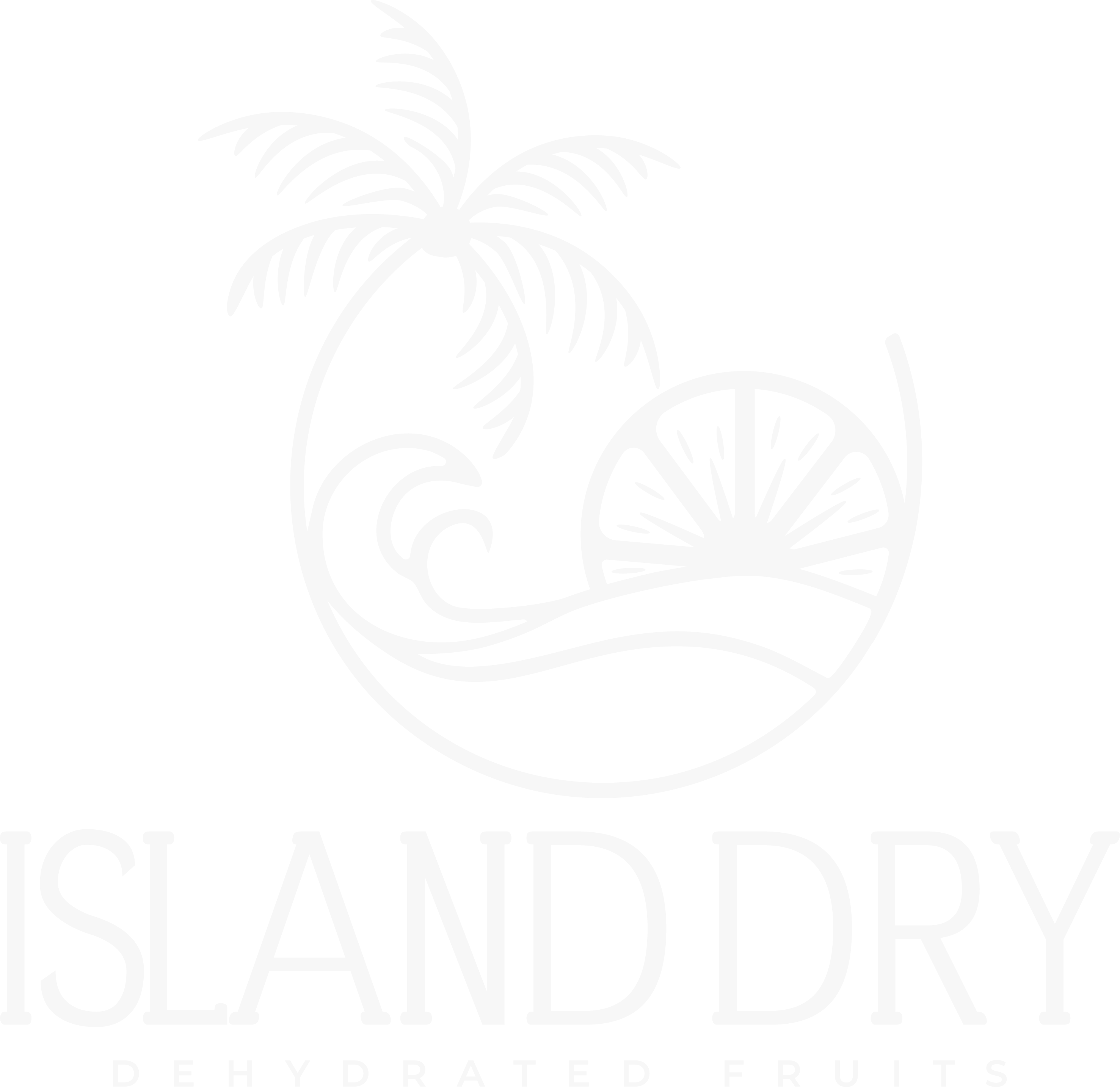 Island Dry Dehydrated Fruits